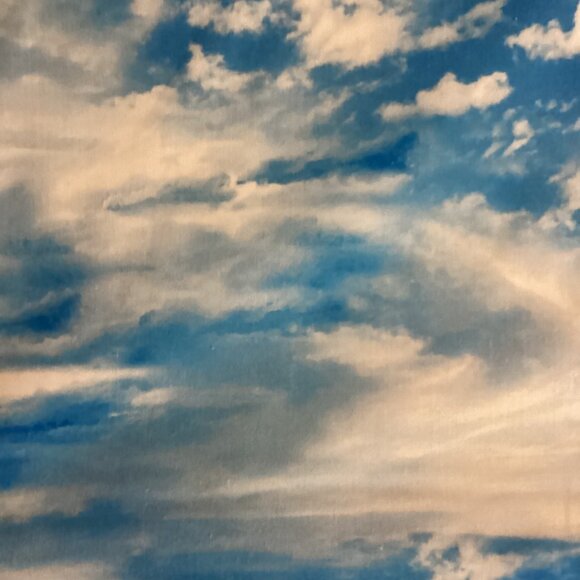 PALM TREES AND CLOUDS COTTON FABRIC BY THE YARD,1 YD - Picture 3 of 3